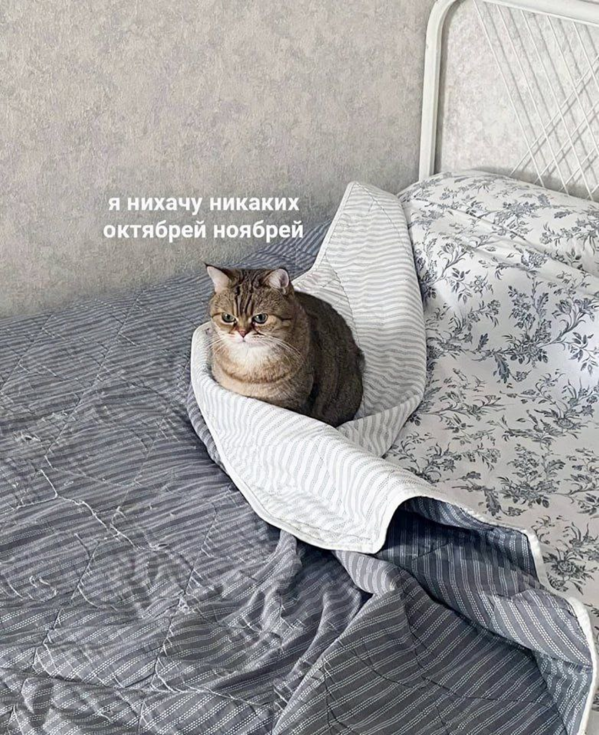 Мне не нравится осенняя слякоть, промозглая погода, на улице ветер и дождь. Хочу не выходить из дома и смотреть что-то тёплое, летнее.
Нравится, когда гуляешь летом ночью в шортах, футболке и кроссах | Сетка — социальная сеть от hh.ru
