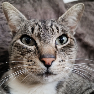 Сергей Борисов | Сетка — социальная сеть от hh.ru