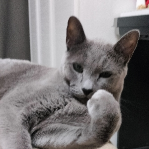 Tim Khen | Сетка — социальная сеть от hh.ru