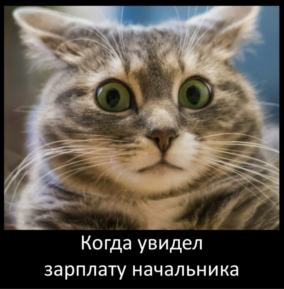 Интернет будоражится от новости, что скоро в Европе обяжут раскрывать зарплату начальников.
Это не совсем так | Сетка — социальная сеть от hh.ru