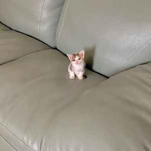 Даниил Худяков | Сетка — социальная сеть от hh.ru