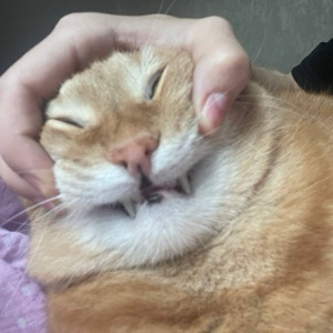 Yuliya Yuliya | Сетка — социальная сеть от hh.ru