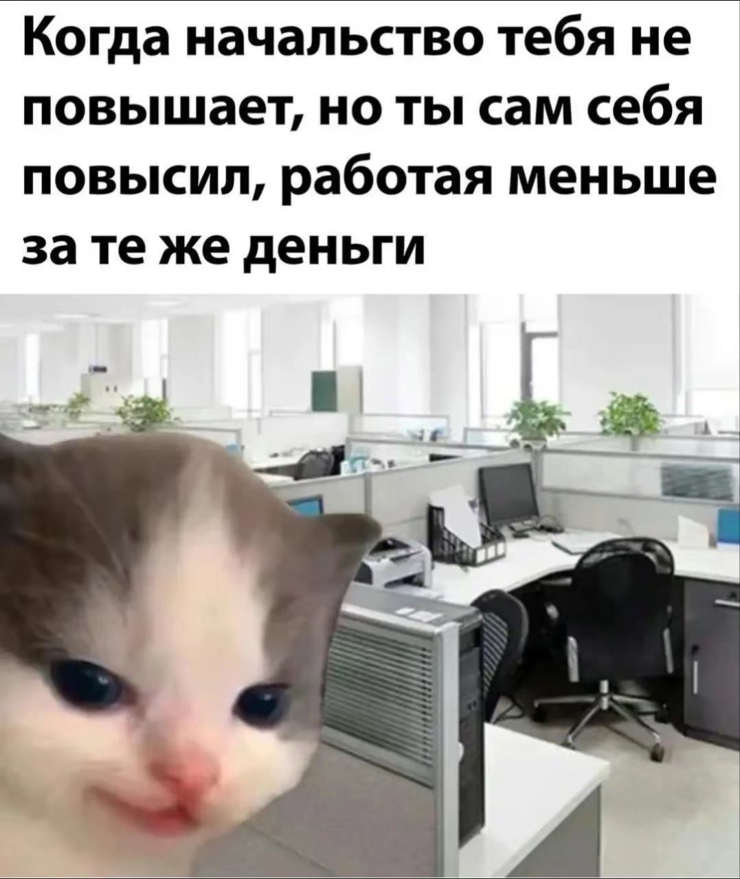 ➡️ отправь в телеге мем коллеге | Сетка — социальная сеть от hh.ru