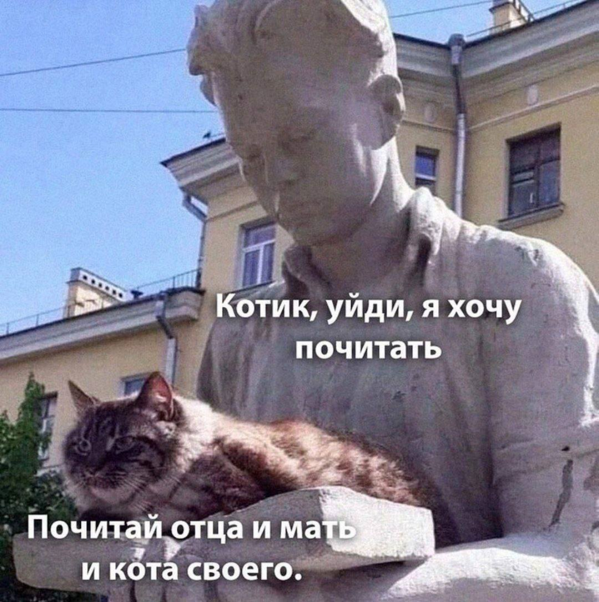Книжные долги, или как читать нужное | Сетка — социальная сеть от hh.ru