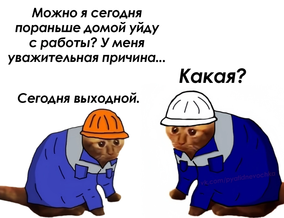 Сетка — социальная сеть от hh.ru