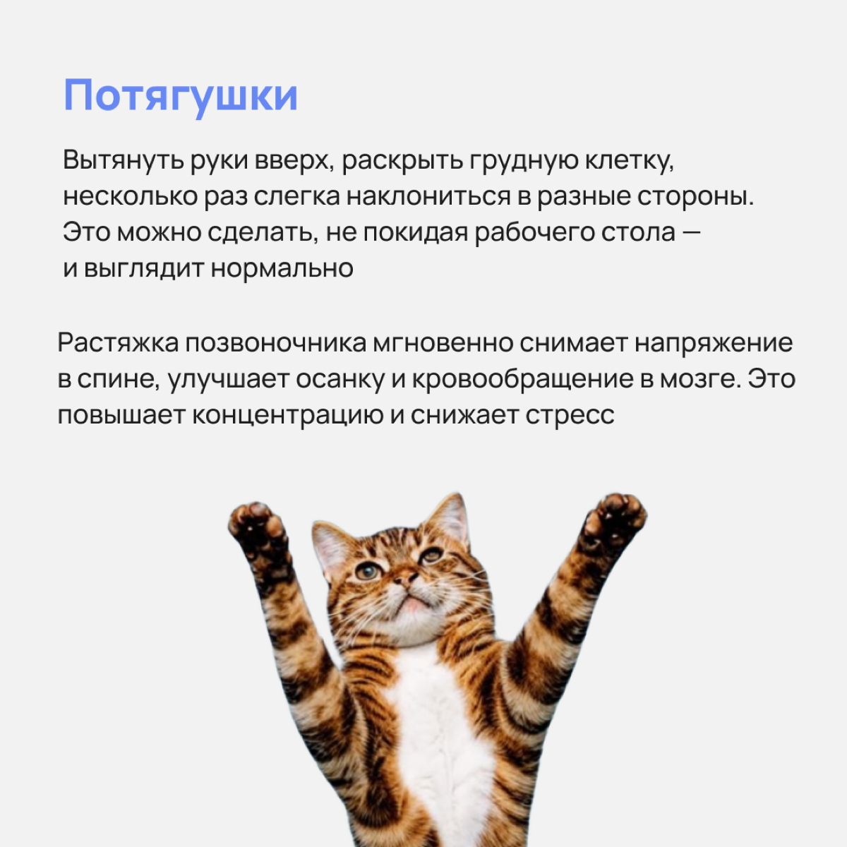 Садиться в позу лотоса посреди офиса или лупить грушу слишком заметно и странненько 🛸 а вот взбодрить свой перегруженный мозг так незаметно от всех, эт можно | Сетка — социальная сеть от hh.ru