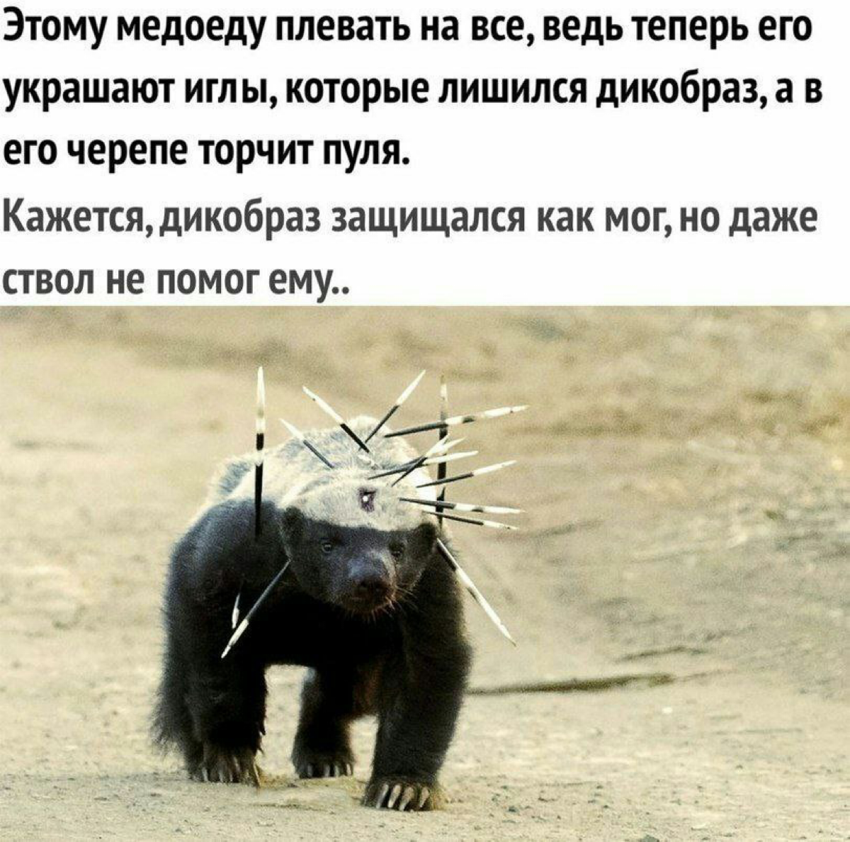 Explore GPT - база почти бесполезных знаний.
У кого платная подписка, видели этот раздел | Сетка — социальная сеть от hh.ru