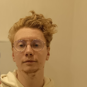 Александр Курицын