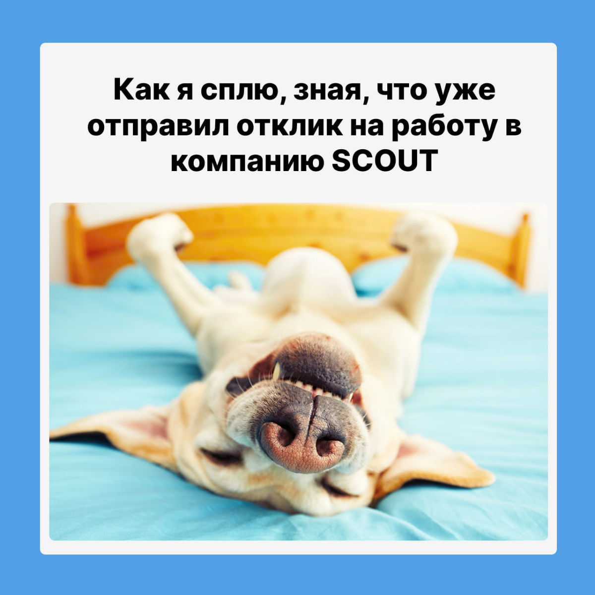 А ты уже оставил отклик?
https://skaut.huntflow.io/ | Сетка — социальная сеть от hh.ru