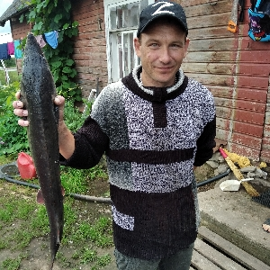 Денис Устьев