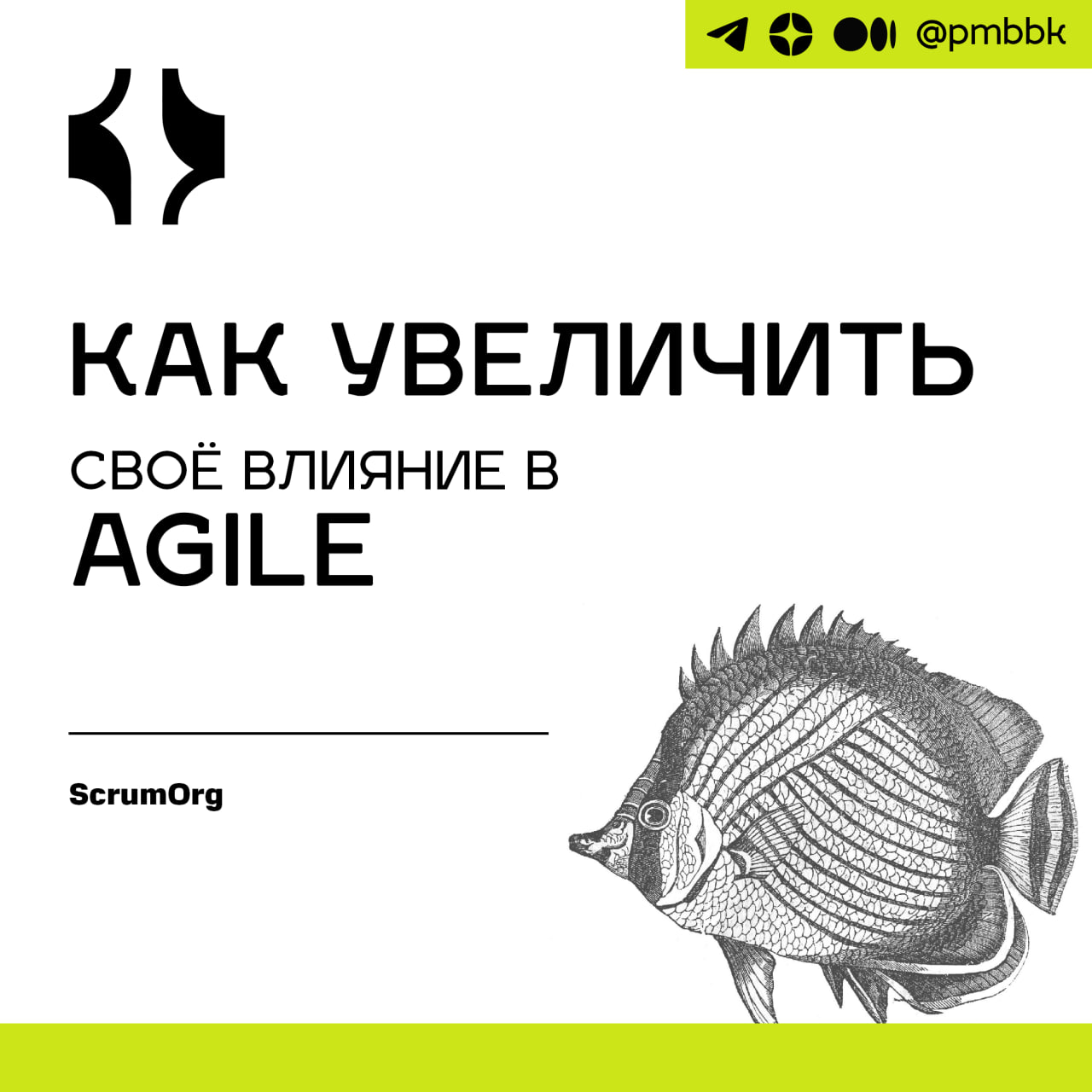 🤷‍♂️ Как увеличить своё влияние в Agile
Как Agile-коучи или Scrum-мастера, вы должны выявлять препятствия, блокирующие поток и эффективность команды, даже если это приводит к неудобным разговорам | Сетка — социальная сеть от hh.ru