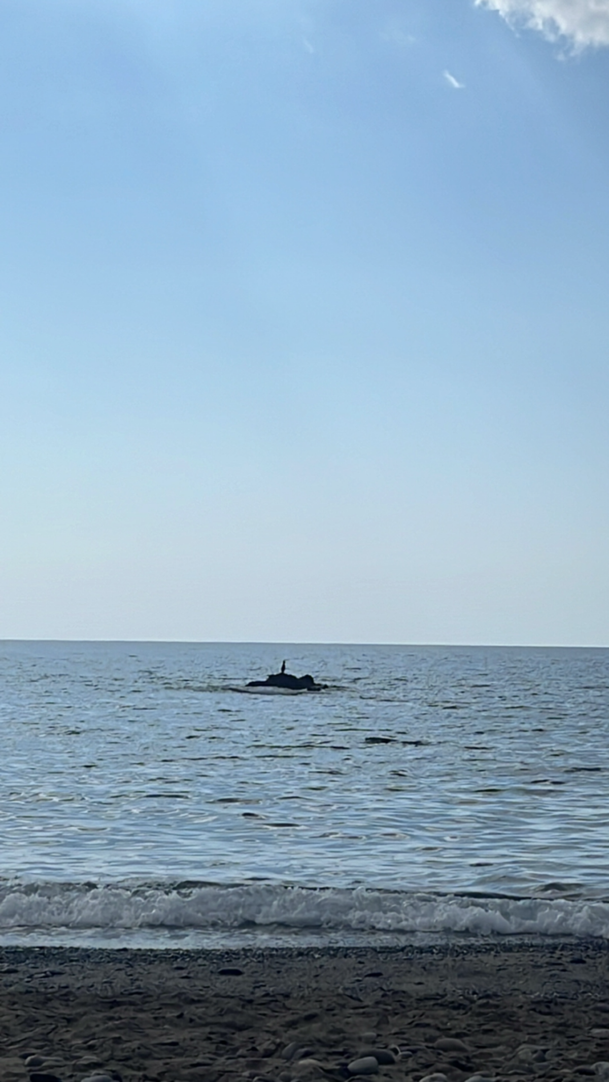 В конце сезона обычно трудно привлечь новых клиентов,погода портится,то ветр,то дождь. | Сетка — социальная сеть от hh.ru