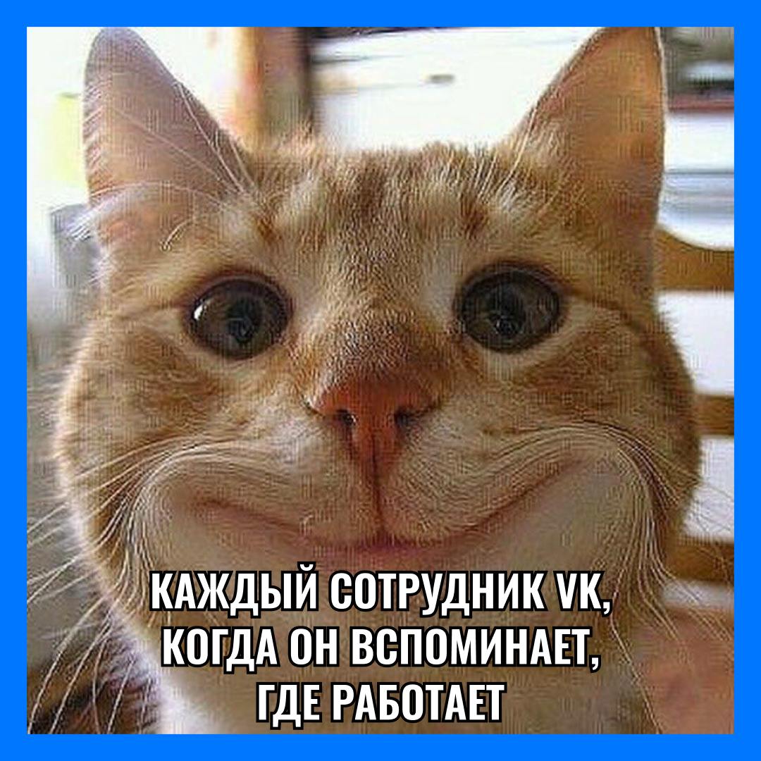 Как насчёт откликнуться на вакансии ниже и стать ещё счастливее? 😍
😋 Frontend Developer в Почту VK WorkSpace, Москва
Вакансия класс! Надо будет разрабатывать на JavaScript, поддерживать существующие к... | Сетка — социальная сеть от hh.ru