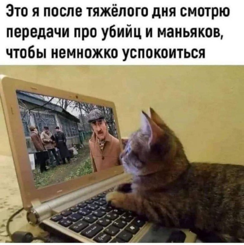 ➡️ отправь в телеге мем коллеге | Сетка — социальная сеть от hh.ru