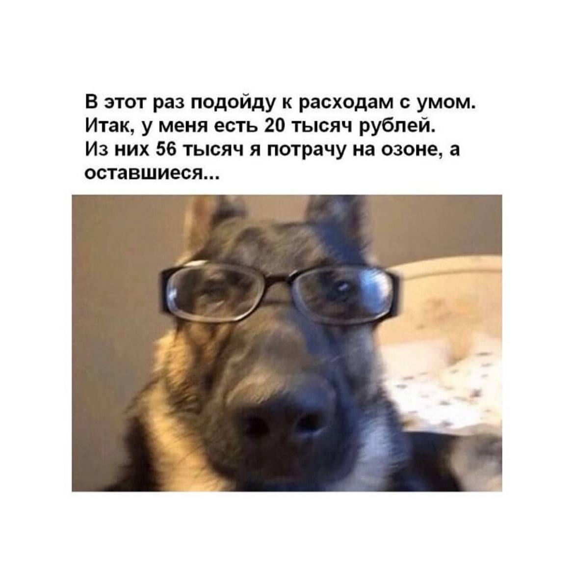 Жду, пока вы проголосуете, и смотрю мемасики
Завтра поделюсь одной полезностью, которая помогает в рабочей коммуникации и не только
Ну мне, по крайней мере, может, и вам пригодится
А пока ловите подбо... | Сетка — социальная сеть от hh.ru