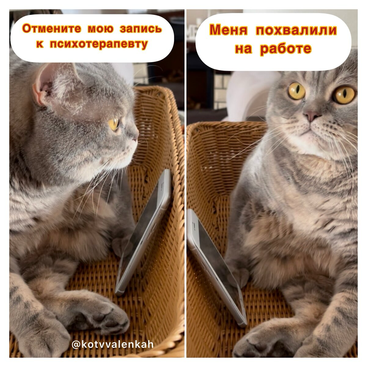 Почему мы умеем себя ругать, но не умеем хвалить | Сетка — социальная сеть от hh.ru