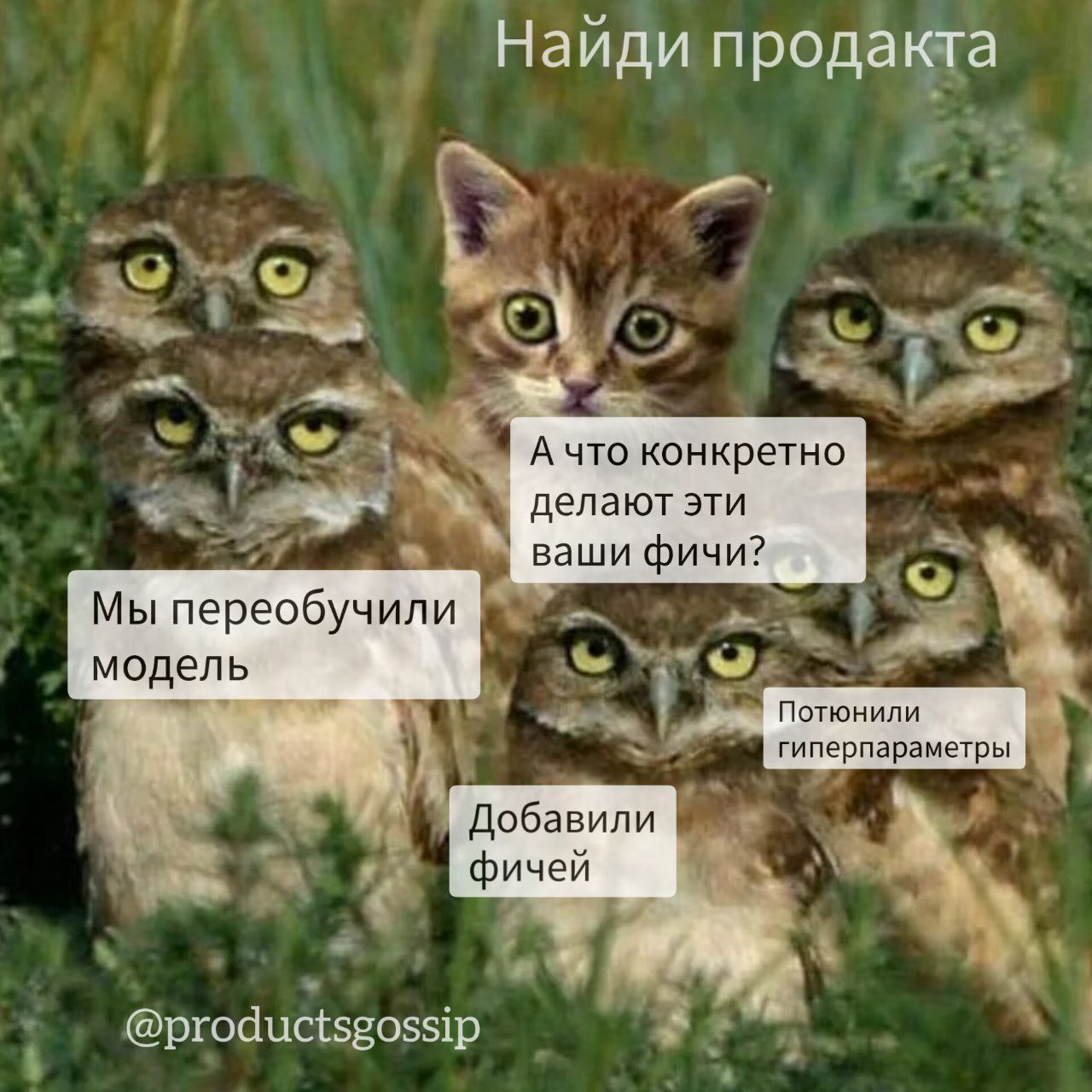 Ну оочень нишевая шутка, поэтому объяснительная бригада прямо в посте
У ML-щиков есть термин "фичи" | Сетка — социальная сеть от hh.ru