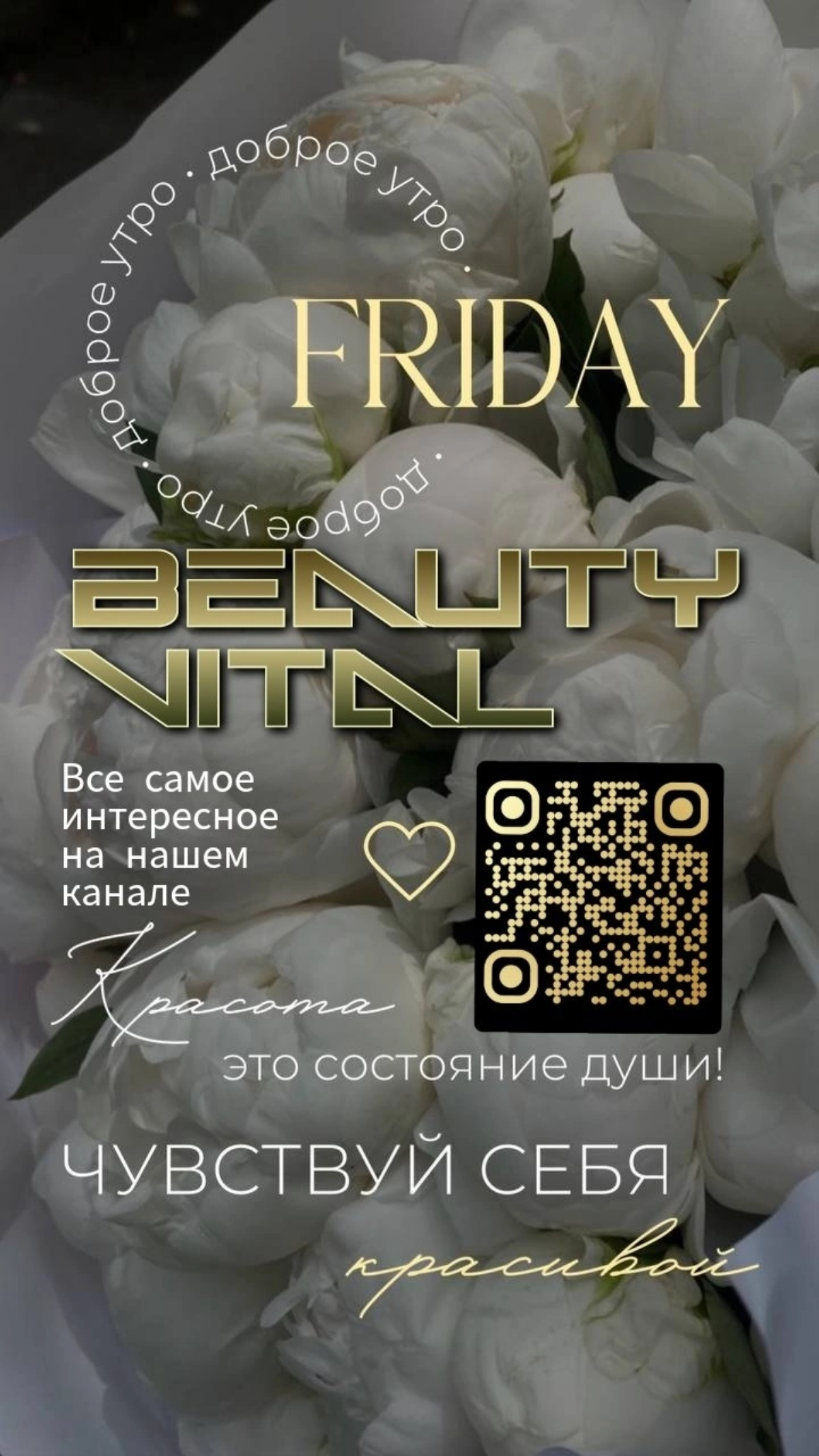 https://t.me/KONTCEPTPIT/1 | Сетка — социальная сеть от hh.ru