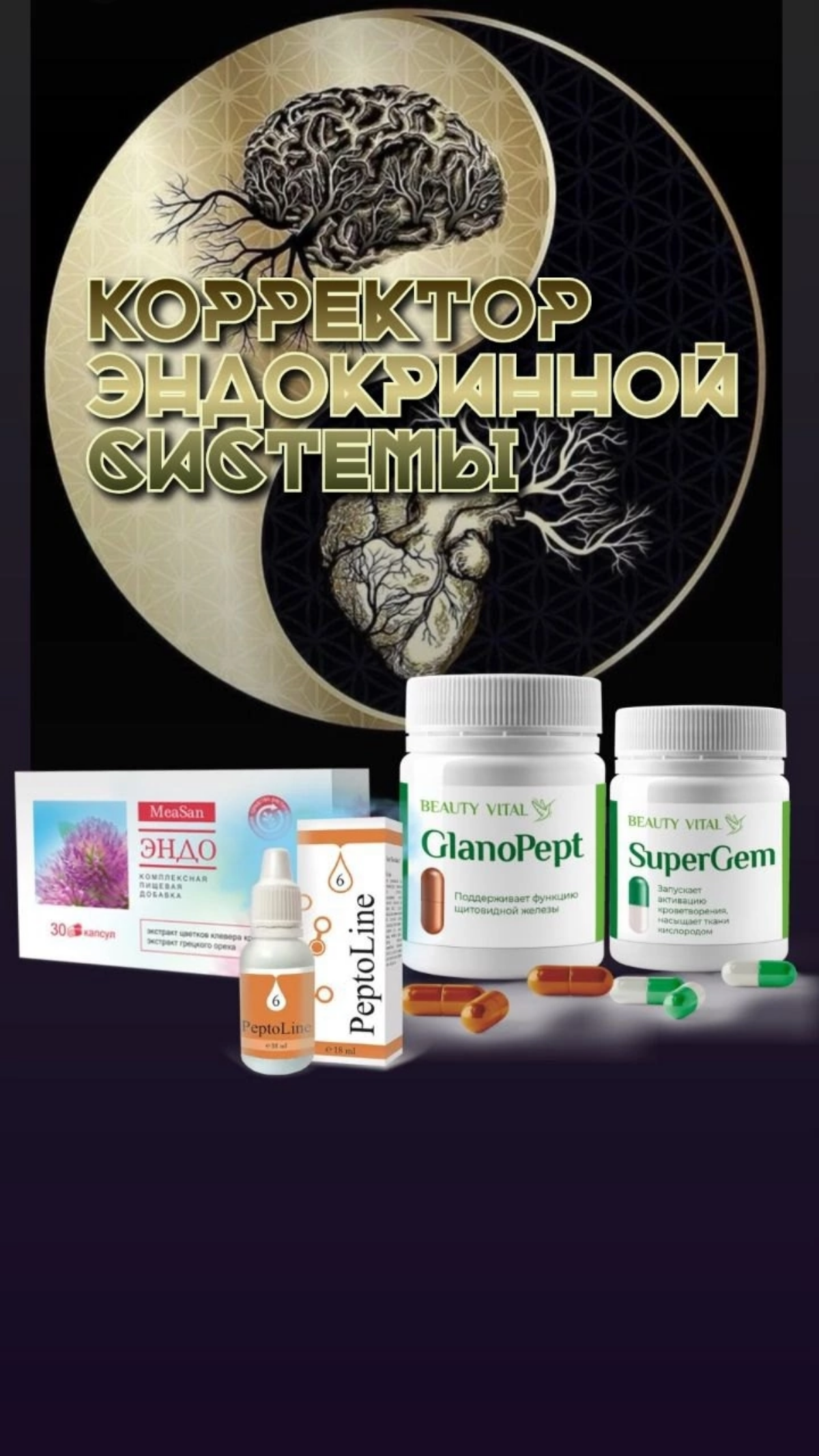 https://t.me/KONTCEPTPIT/1 | Сетка — социальная сеть от hh.ru
