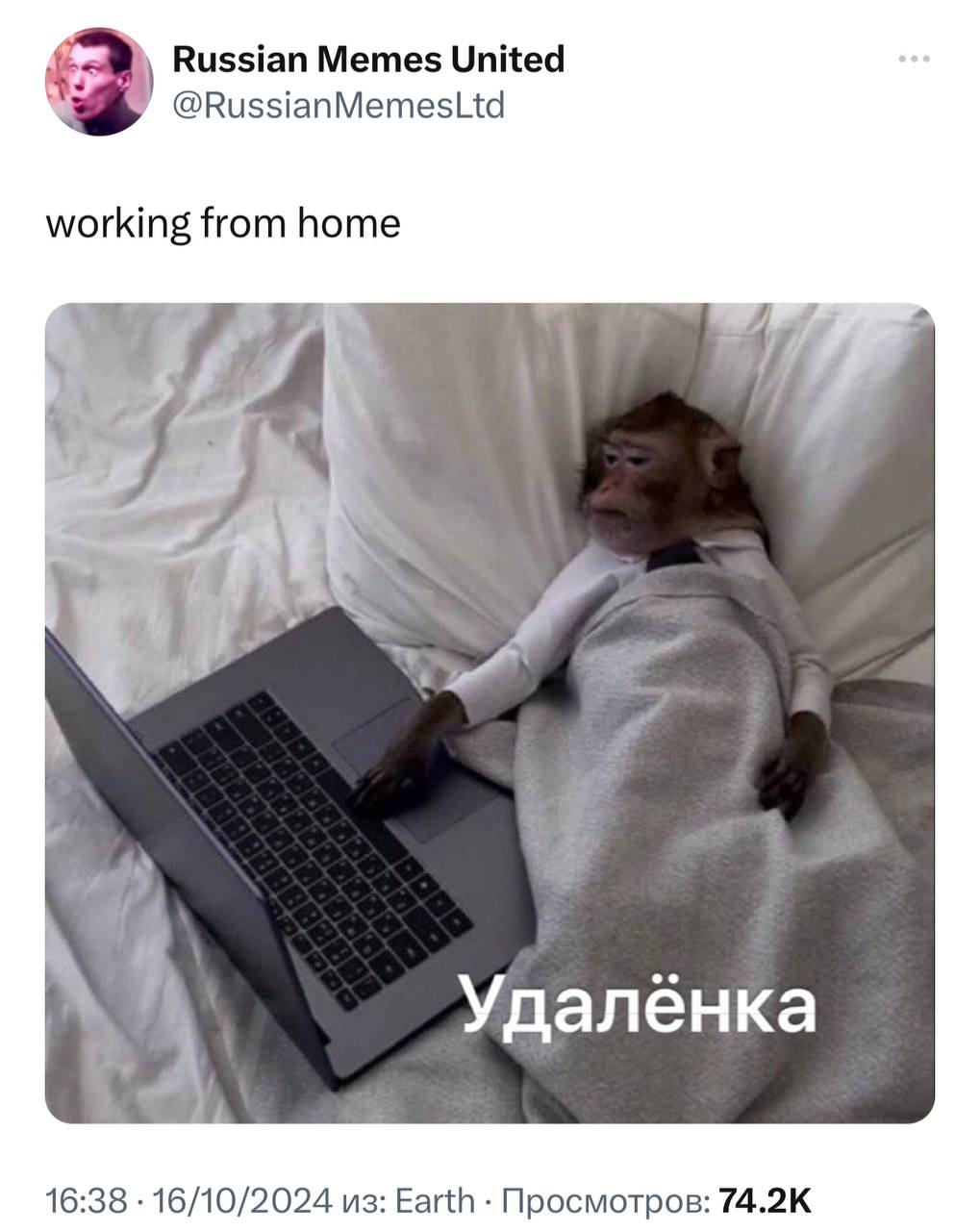 POV: как начальство видит своих сотрудников на удаленке.
➡️ отправь в телеге мем коллеге | Сетка — социальная сеть от hh.ru