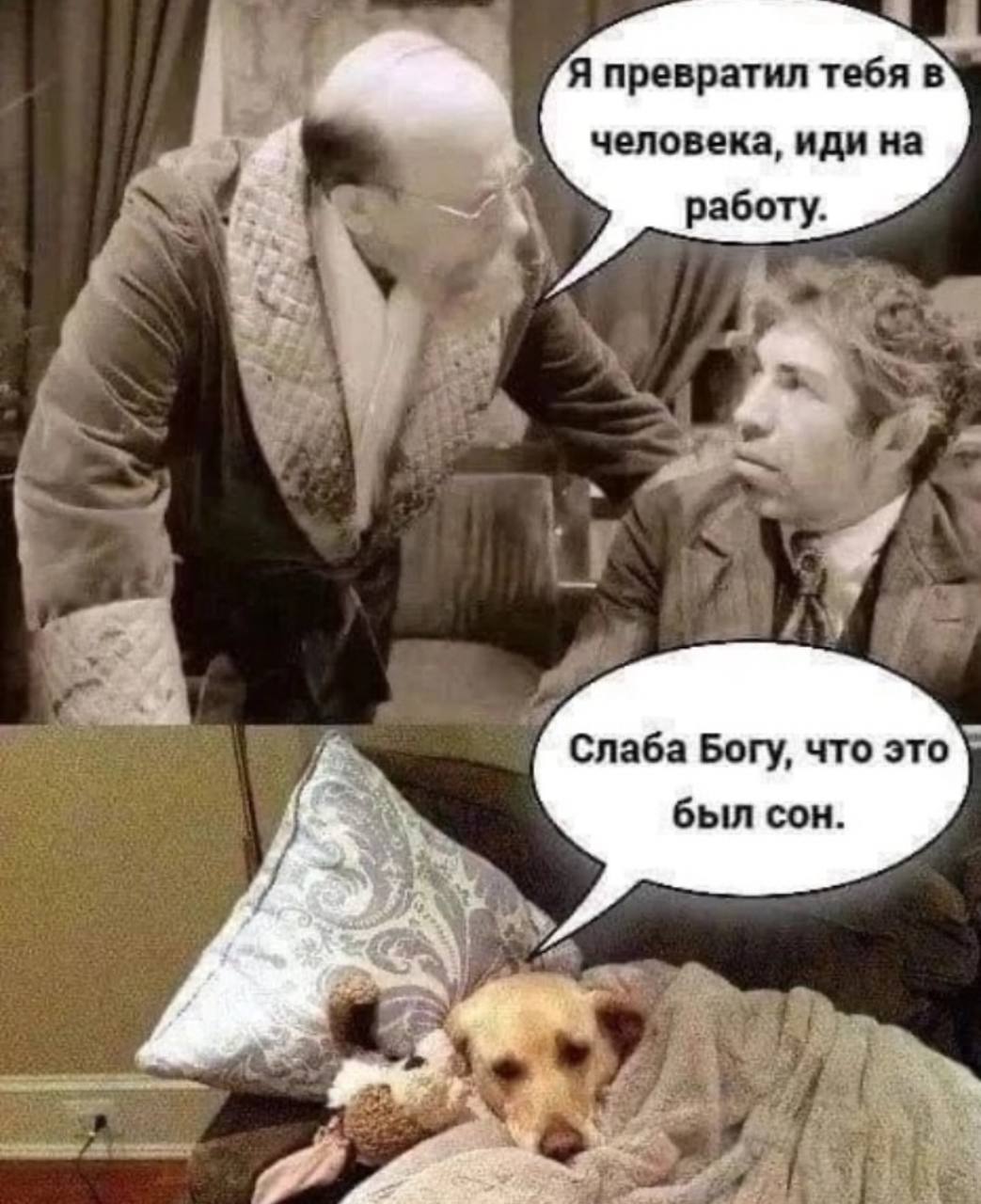 Собрали все посты недели в один:
➡️ Как повысить доход в найме?
➡️ Тенденции рынка труда
➡️ Аналитика международного рынка труда
➡️ Ключевые навыки и карьерный трек специалистов по машинному обучению
... | Сетка — социальная сеть от hh.ru