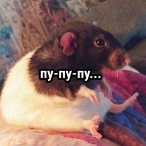 Наталия Костарева | Сетка — социальная сеть от hh.ru