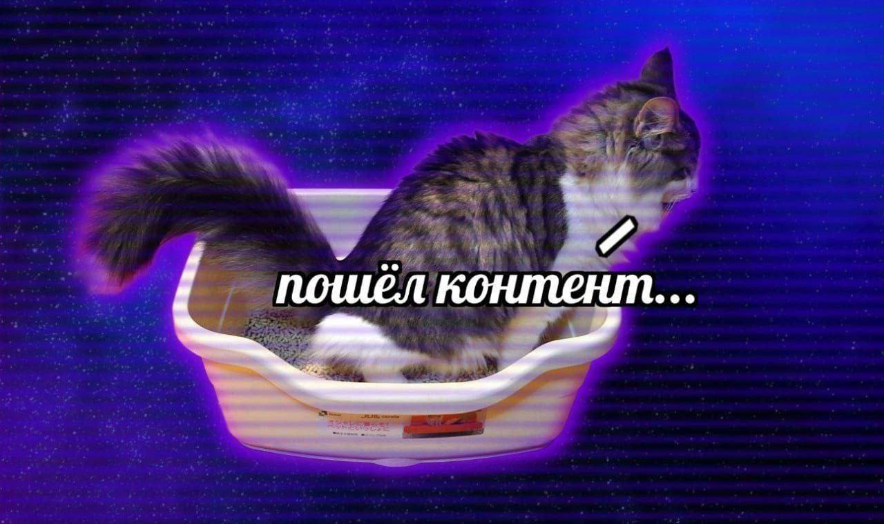 Выдумываю ойти посты. | Сетка — социальная сеть от hh.ru