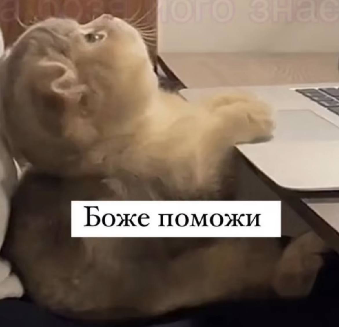 Мораль этой ночи - спонтанные решения хороши в 18 лет и в больших компаниях
Решить переночевать в горном отеле, взяв с собой только камеру и штатив, было ошибкой | Сетка — социальная сеть от hh.ru