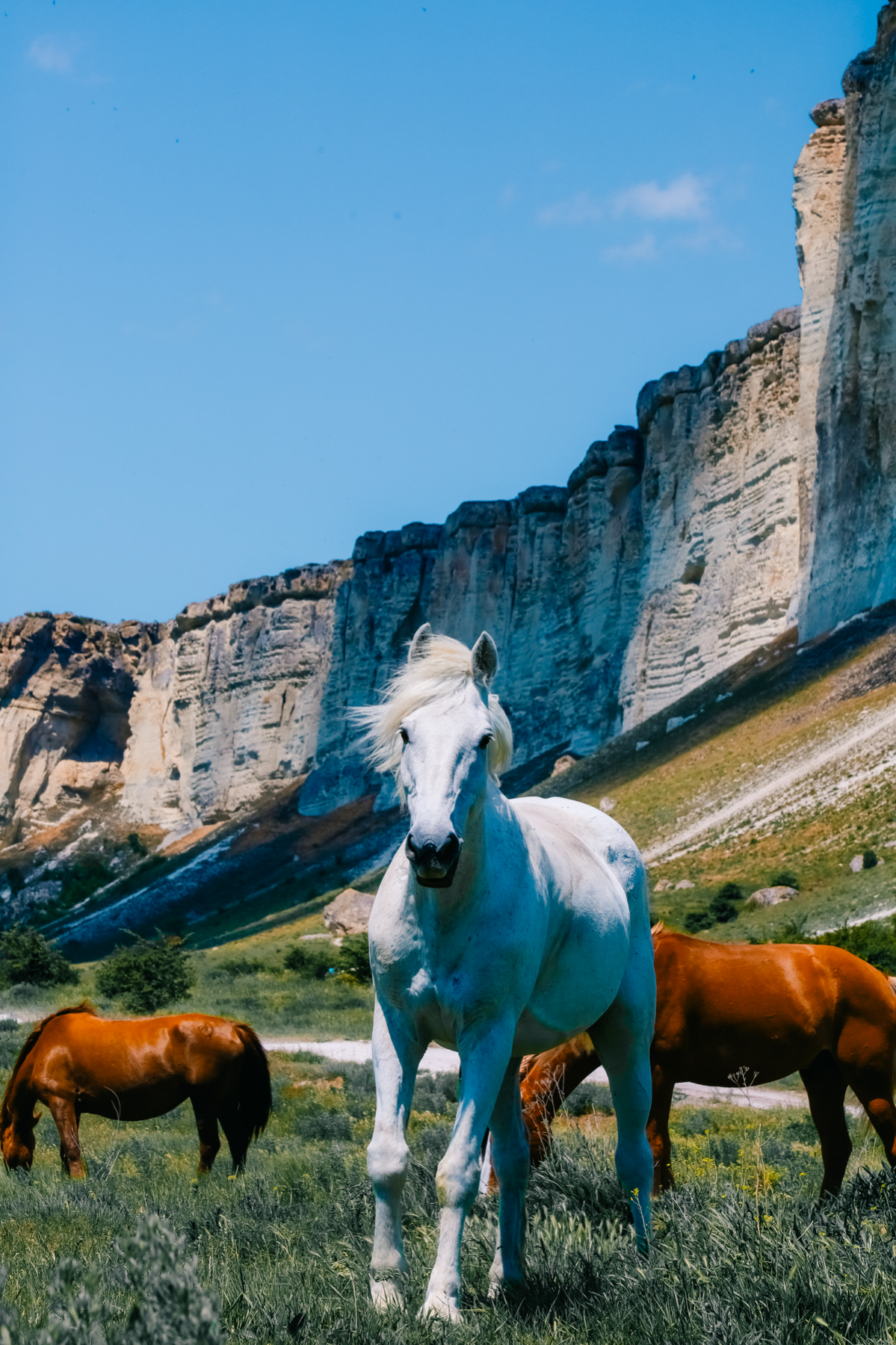 Не много теплого Крыма в ленту 😉 | Сетка — социальная сеть от hh.ru