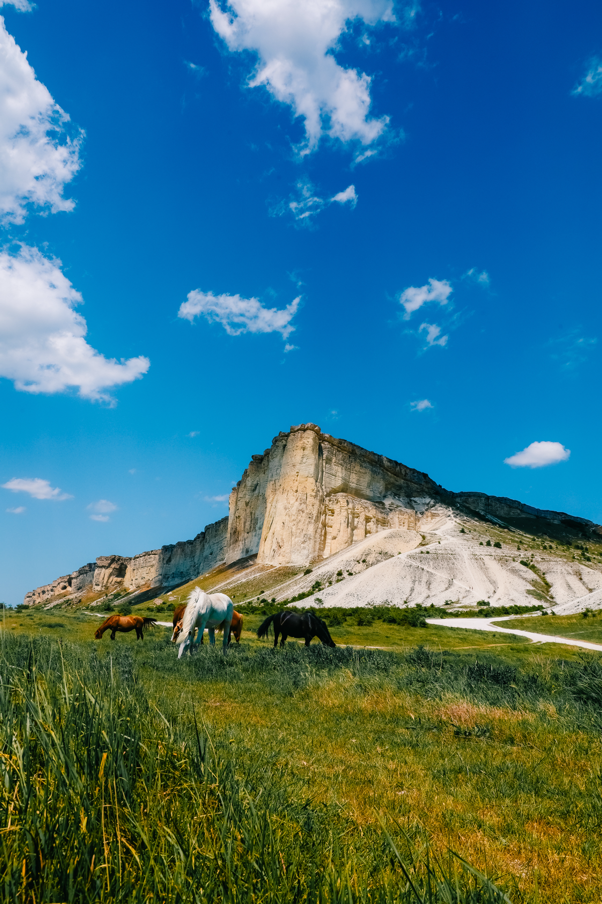 Не много теплого Крыма в ленту 😉 | Сетка — социальная сеть от hh.ru