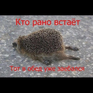 Андрей Юшко