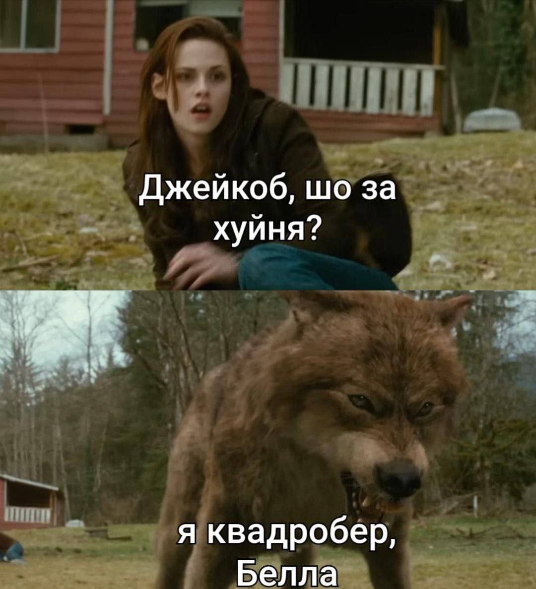 Сетка — социальная сеть от hh.ru