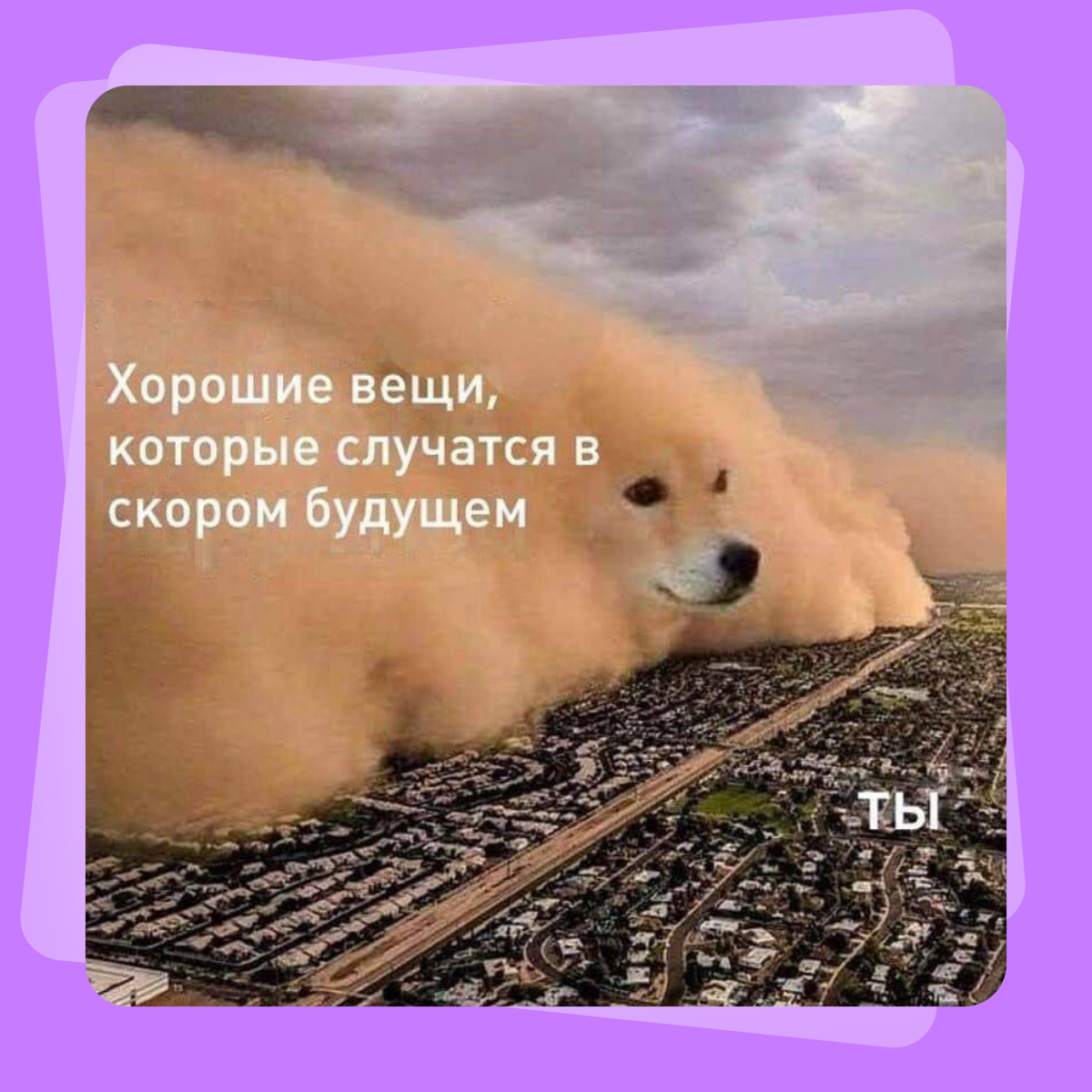 Мем-предсказание на сегодня | Сетка — социальная сеть от hh.ru