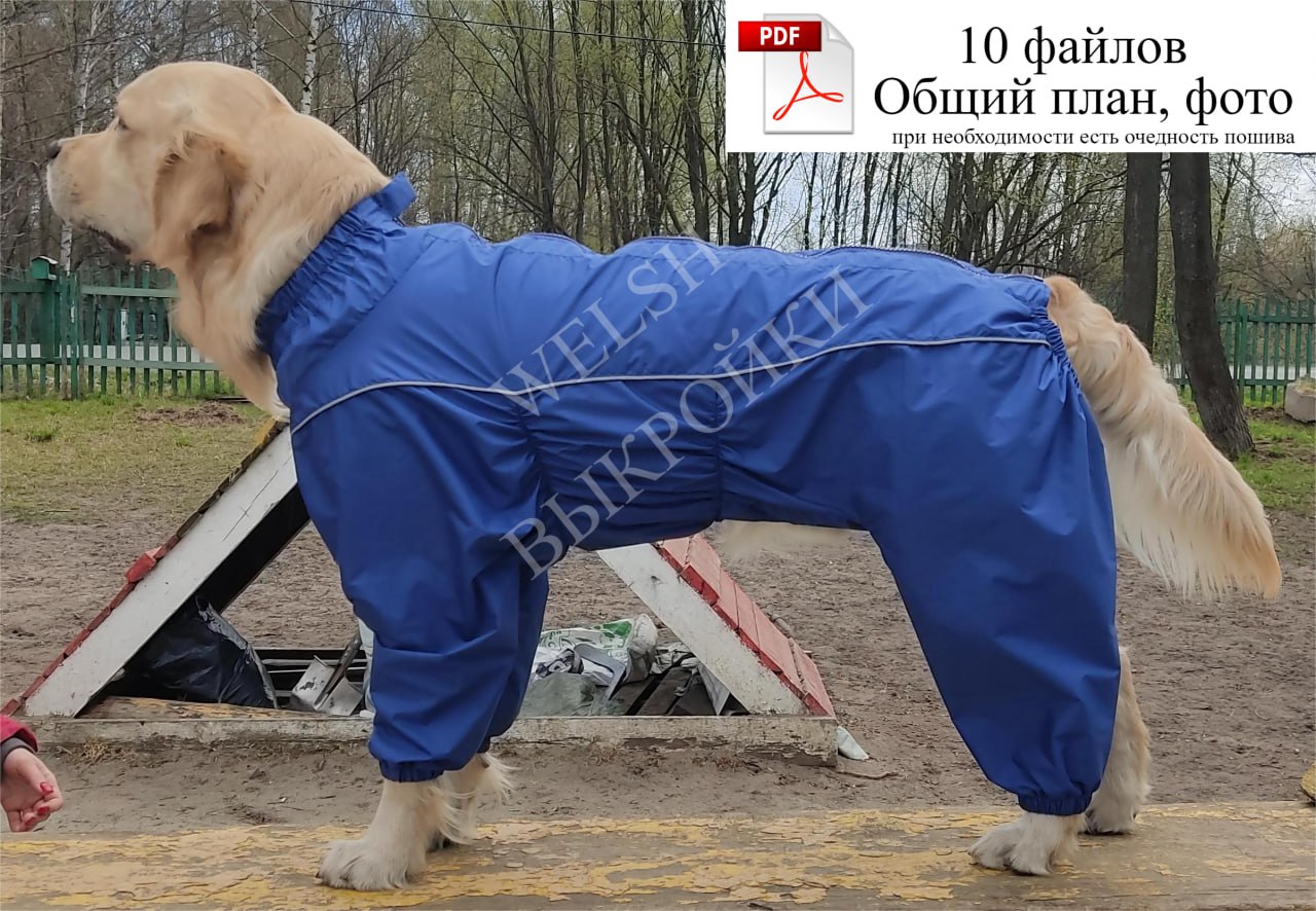 Выкройка комбинезона построена на собаку породы ЗОЛОТИСТЫЙ РЕТРИВЕР 🐕 (мальчик/девочка).
Выкройка разработана специально для данной породы собаки 🐕, с учётом её особенностей 📏.
Лекала протестированы ✅ | Сетка — социальная сеть от hh.ru