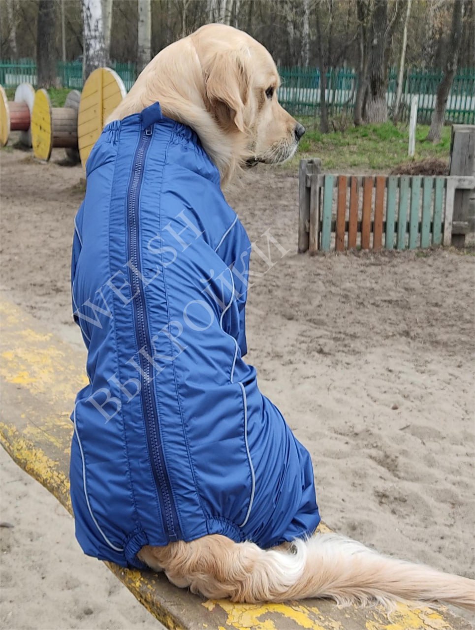 Выкройка комбинезона построена на собаку породы ЗОЛОТИСТЫЙ РЕТРИВЕР 🐕 (мальчик/девочка).
Выкройка разработана специально для данной породы собаки 🐕, с учётом её особенностей 📏.
Лекала протестированы ✅ | Сетка — социальная сеть от hh.ru