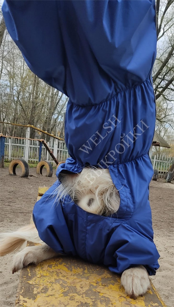 Выкройка комбинезона построена на собаку породы ЗОЛОТИСТЫЙ РЕТРИВЕР 🐕 (мальчик/девочка).
Выкройка разработана специально для данной породы собаки 🐕, с учётом её особенностей 📏.
Лекала протестированы ✅ | Сетка — социальная сеть от hh.ru