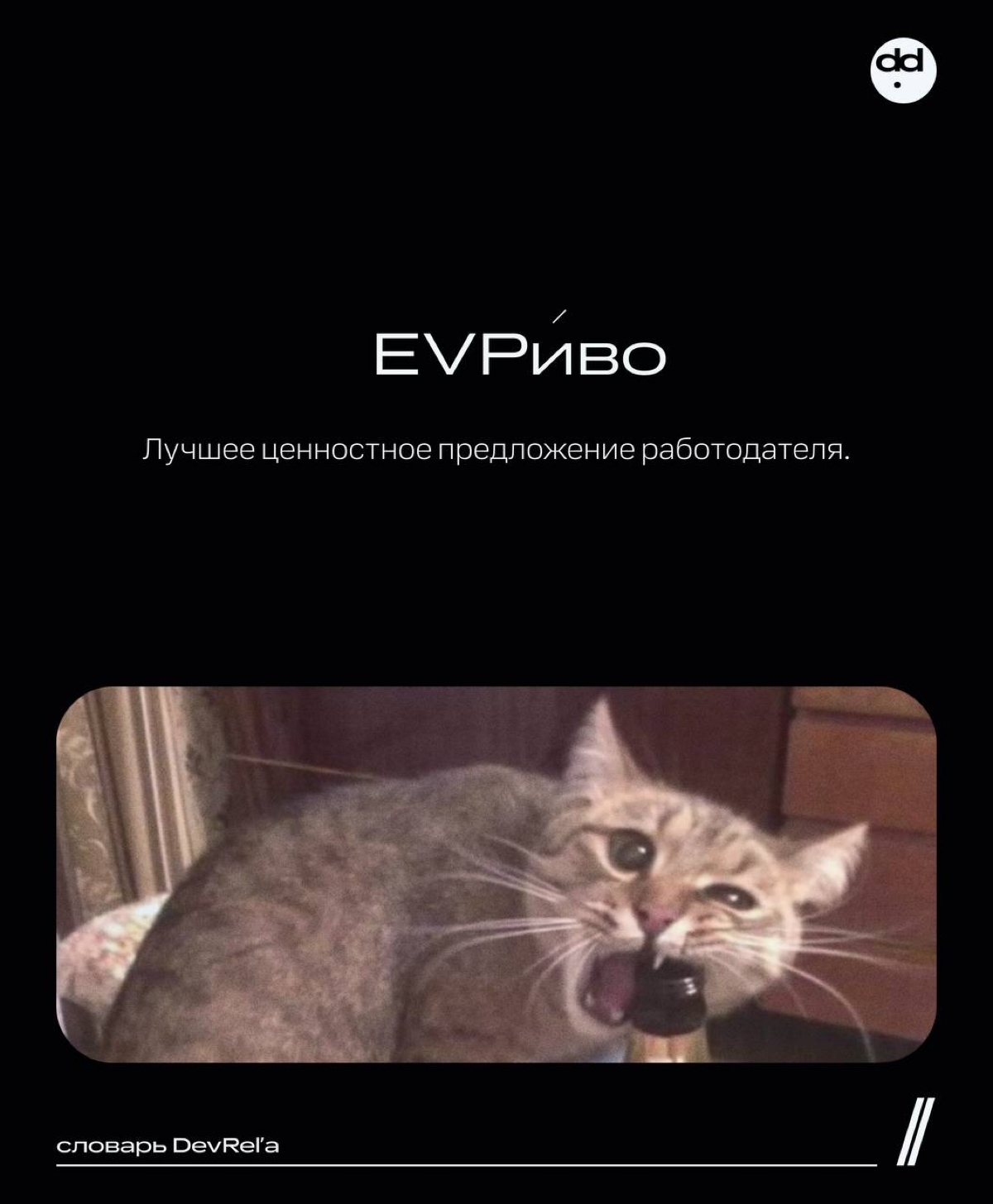 пишем свой словарь 📝 | Сетка — социальная сеть от hh.ru