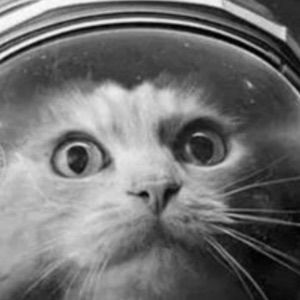 Евгений Пальчиков | Сетка — социальная сеть от hh.ru