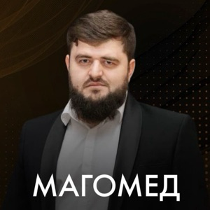 Магомед Алиев | Сетка — социальная сеть от hh.ru