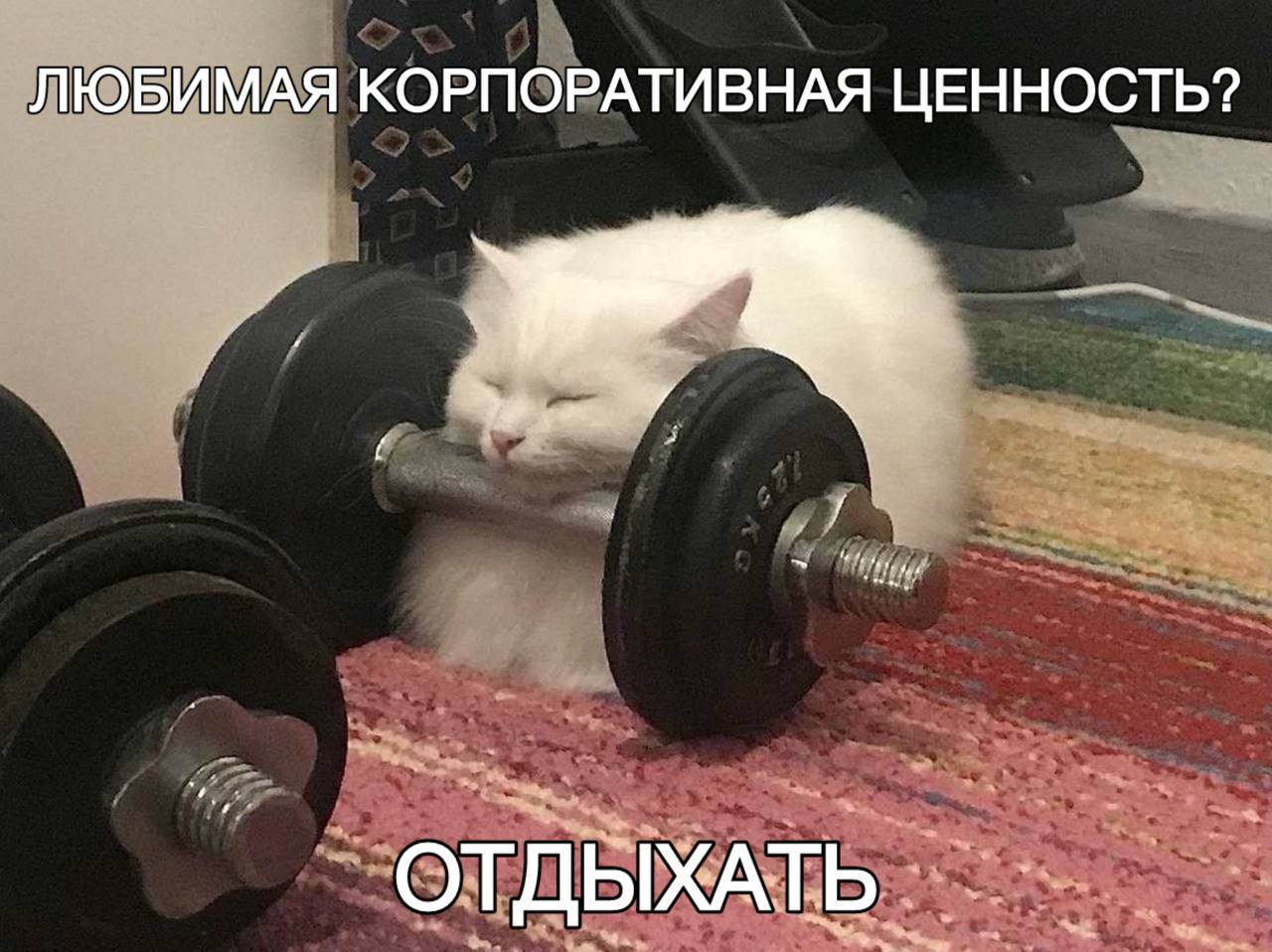 Культура компаний, корпоративные сообщества и Дюркгейм
Наткнулся на относительную старую, но интересную статью из Калифорнийского университета про культуру организаций и влияние, которое она оказывает... | Сетка — социальная сеть от hh.ru