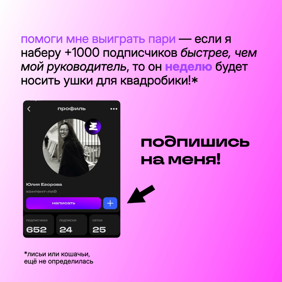 короче говоря, я и мой тимлид заключили пари на рост подписчиков в Сетке | Сетка — социальная сеть от hh.ru