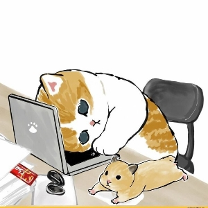 Софи Софи | Сетка — социальная сеть от hh.ru