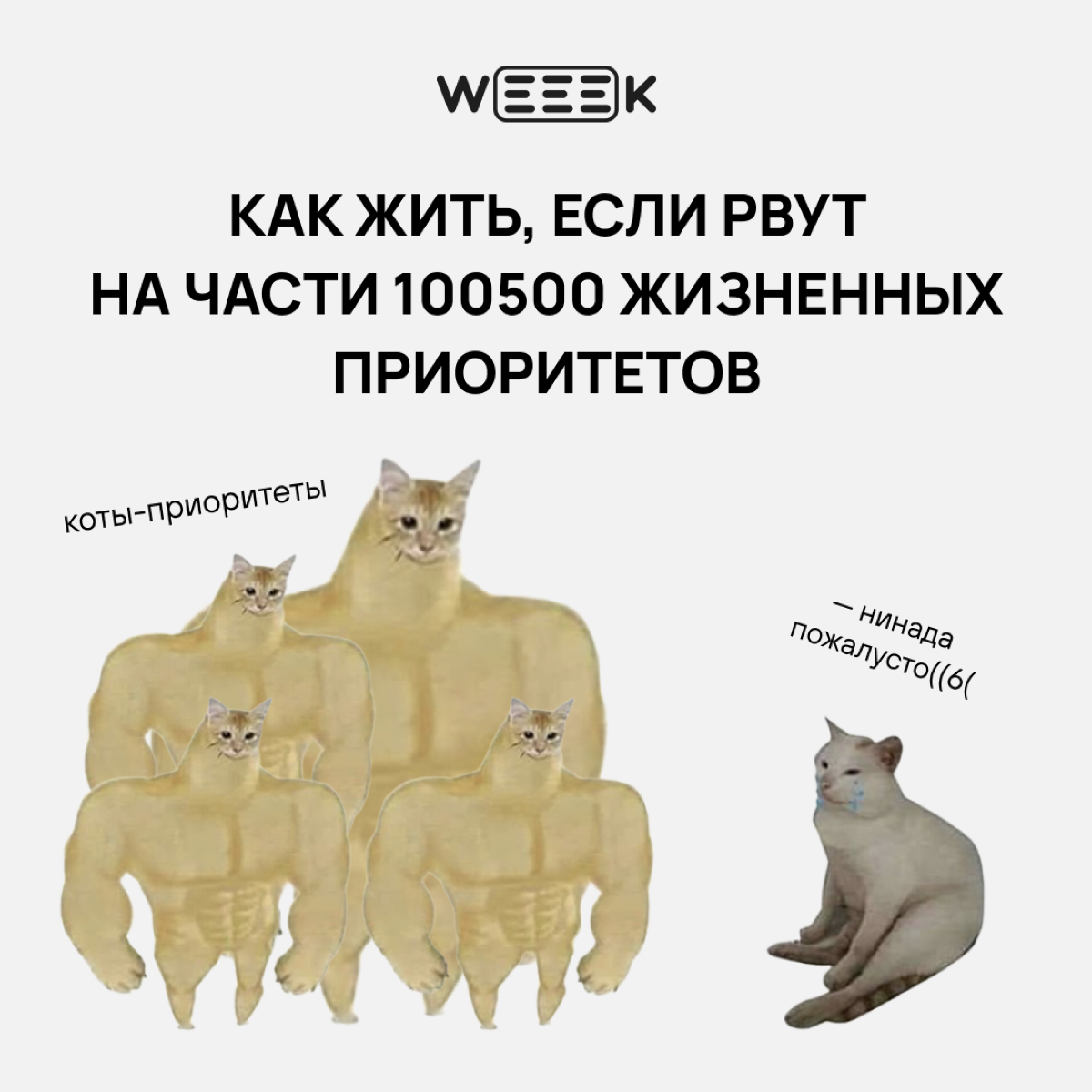 В жизни есть главное и неглавное. А мы тратим слишком много сил на неглавное. О расстановке приоритетов рассказываем в карточках👇🏻 | Сетка — социальная сеть от hh.ru