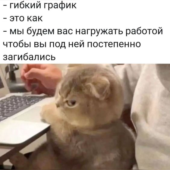 Топовым врачам не всё равно на HR-бренд | Сетка — социальная сеть от hh.ru