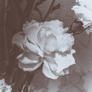 Анастасия Тимофеева | Сетка — социальная сеть от hh.ru