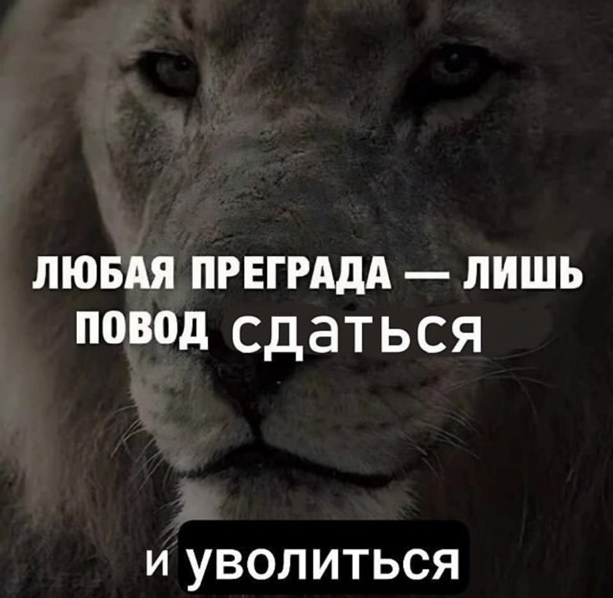 Запомните! | Сетка — социальная сеть от hh.ru