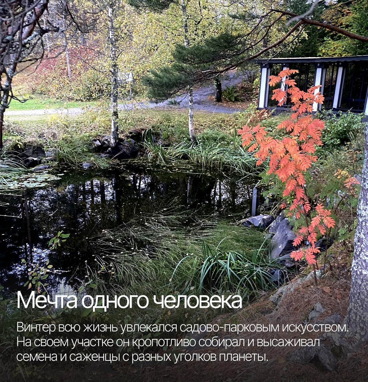 Как одно путешествие может вдохновить на создание красивого дизайна и подарить +100500 впечатлений 💫 | Сетка — социальная сеть от hh.ru