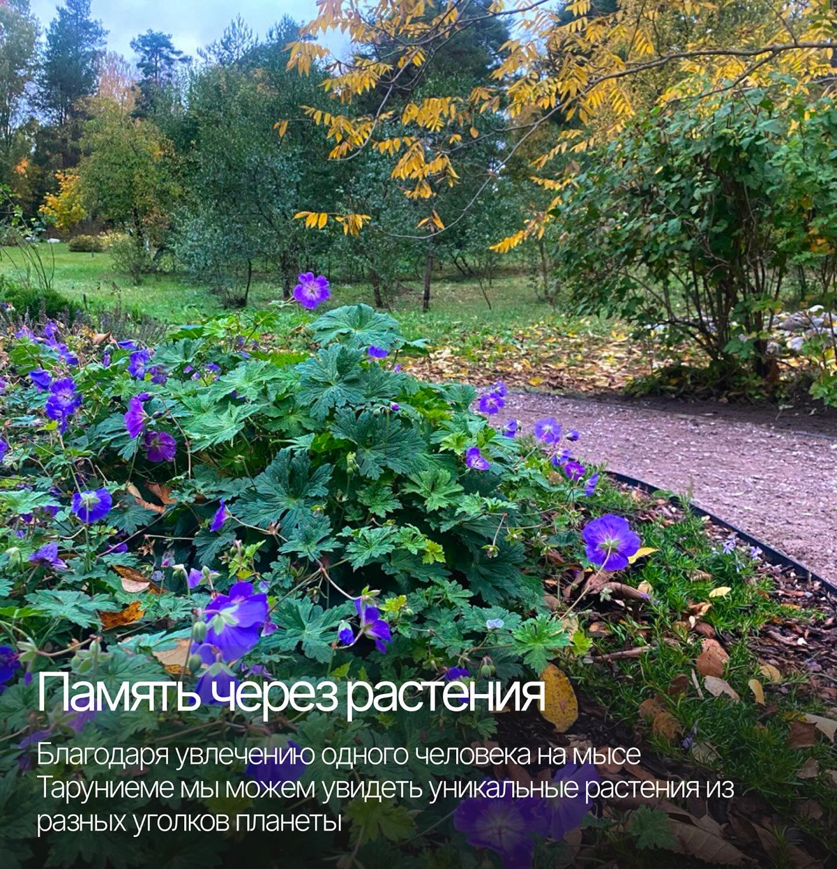 Как одно путешествие может вдохновить на создание красивого дизайна и подарить +100500 впечатлений 💫 | Сетка — социальная сеть от hh.ru
