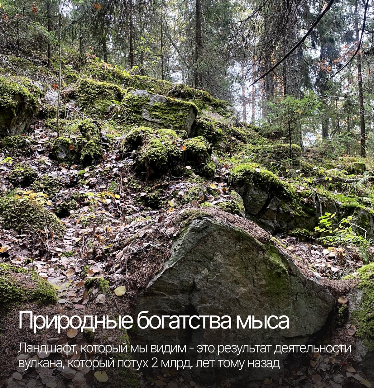 Как одно путешествие может вдохновить на создание красивого дизайна и подарить +100500 впечатлений 💫 | Сетка — социальная сеть от hh.ru