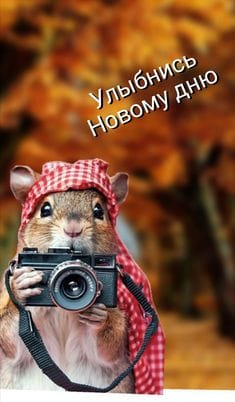 Доброго времени суток! Считаете ли вы , что в системе здравоохранения позитивные изменения, всё стало гораздо человечнее и удобнее? Мой ответ ДА, я считаю что всё улучшилось, но народу меньше не стано... | Сетка — социальная сеть от hh.ru